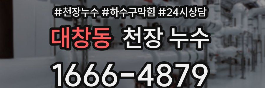 대창동 천장 누수