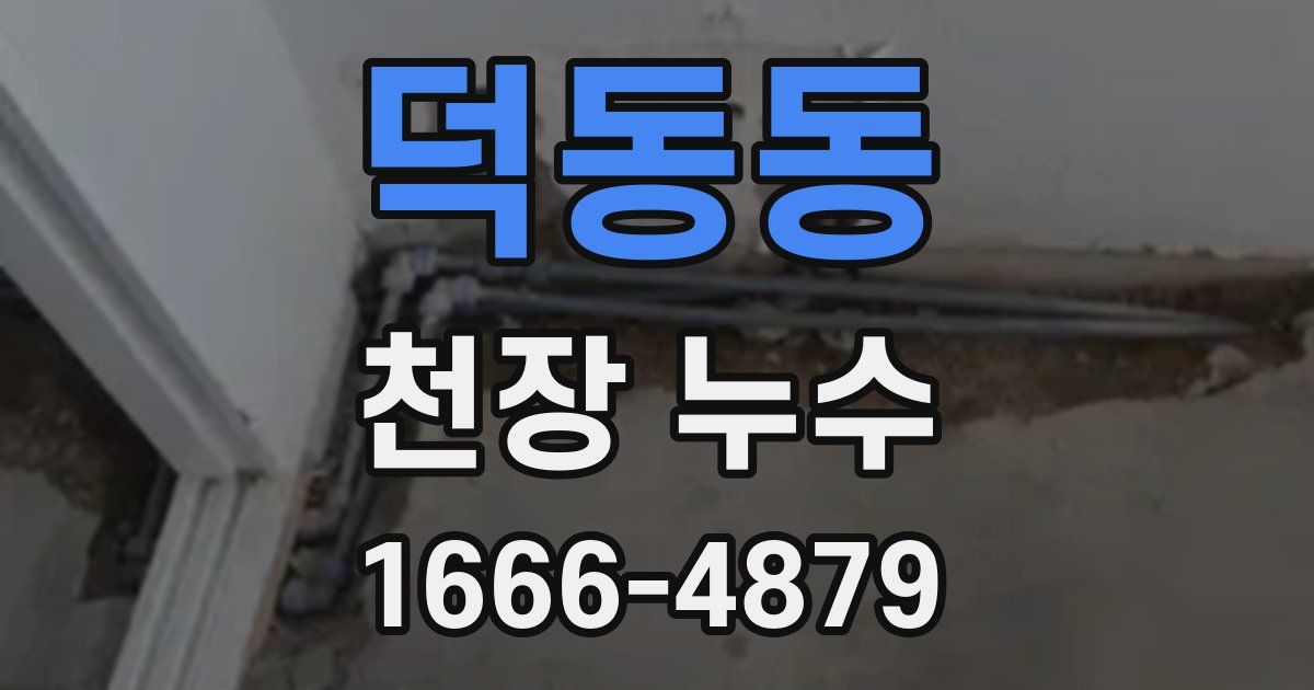 덕동동 천장 누수