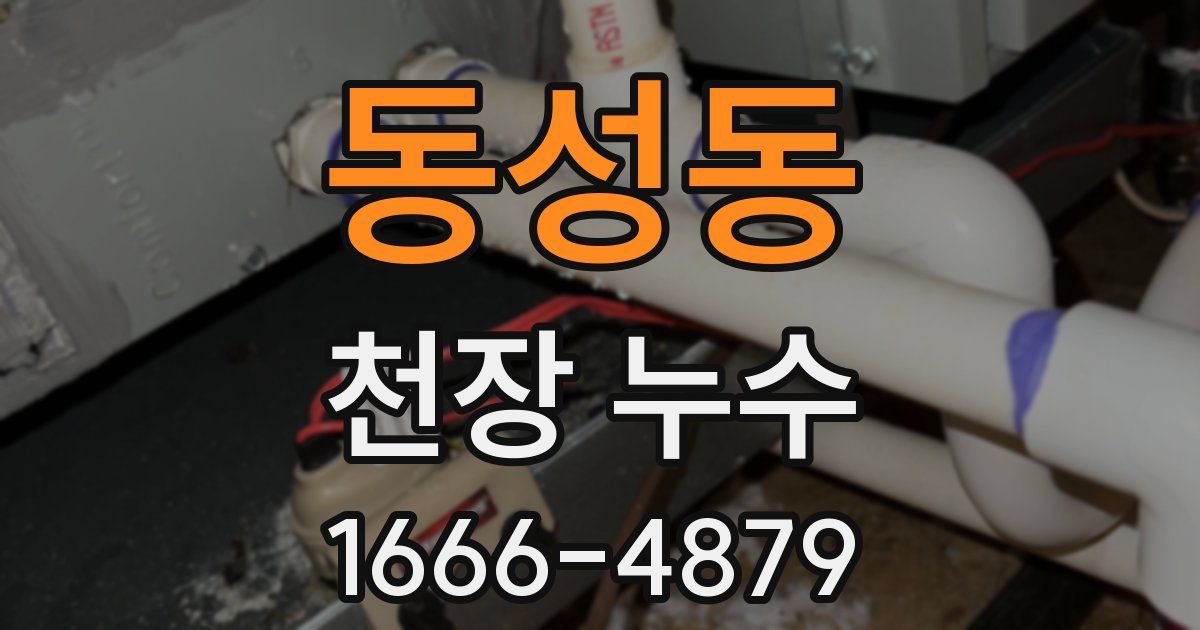 동성동 천장 누수