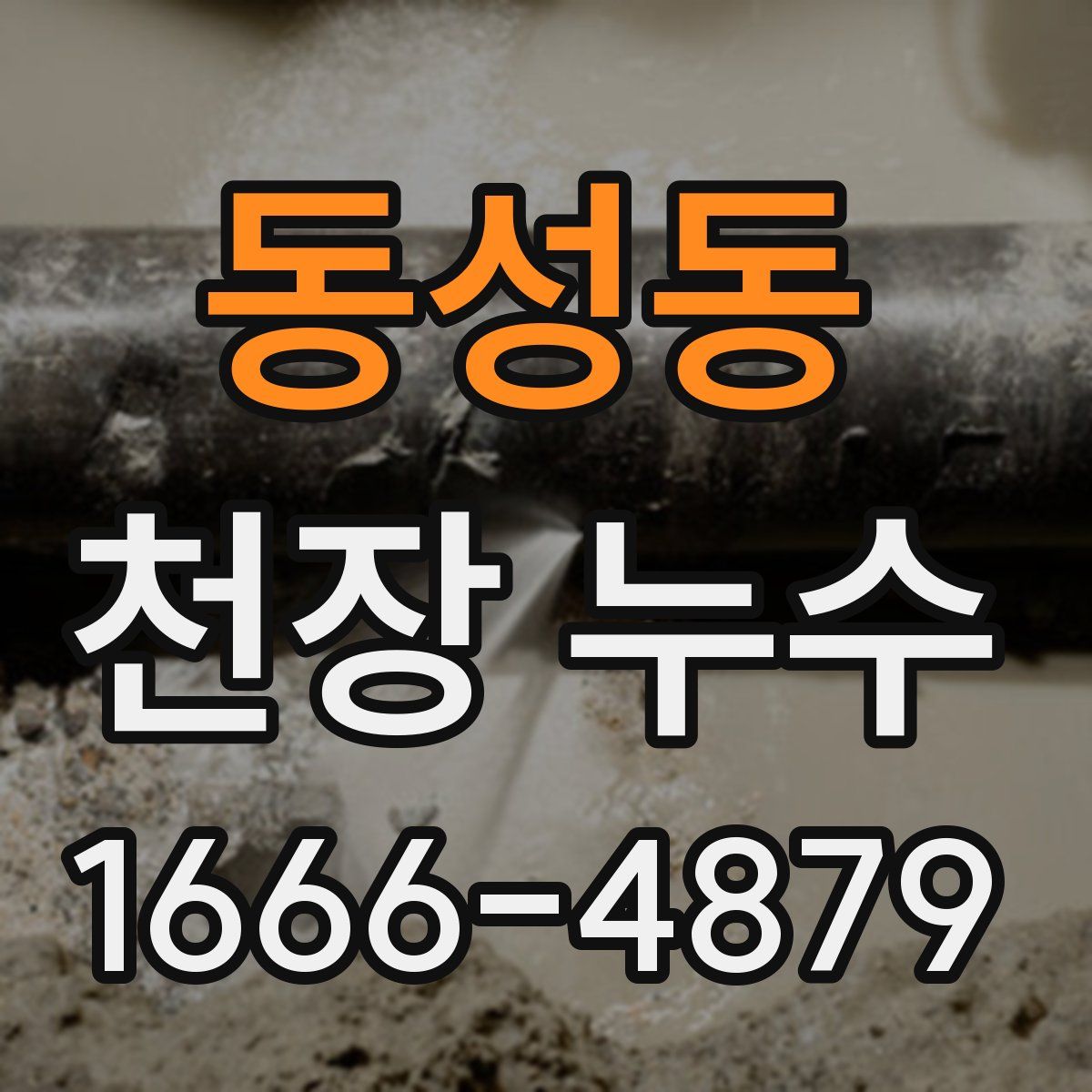 동성동 천장 누수