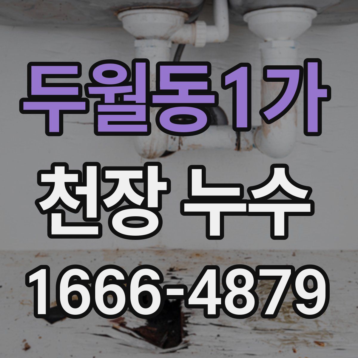 두월동1가 천장 누수