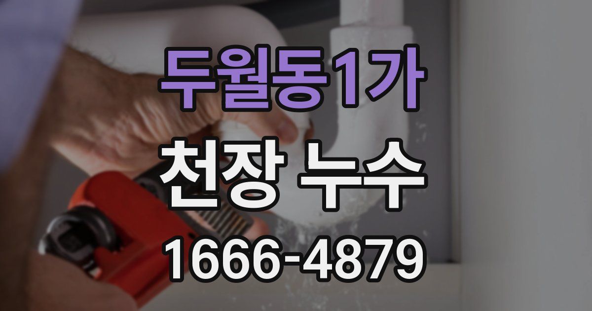 두월동1가 천장 누수