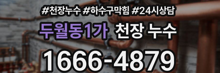 두월동1가 천장 누수