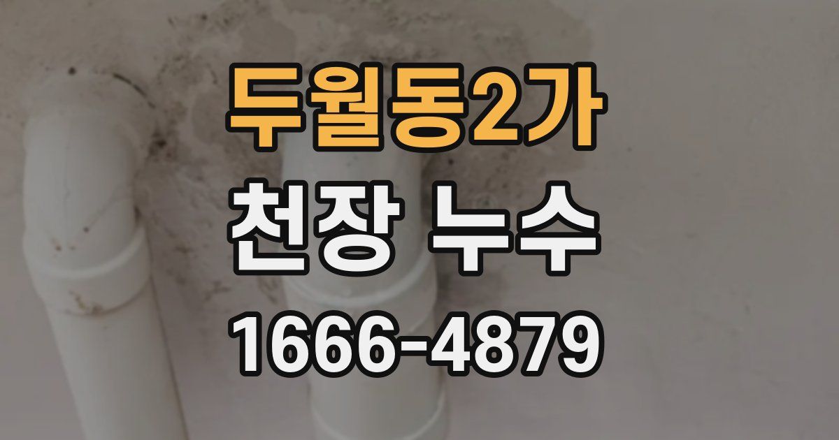 두월동2가 천장 누수
