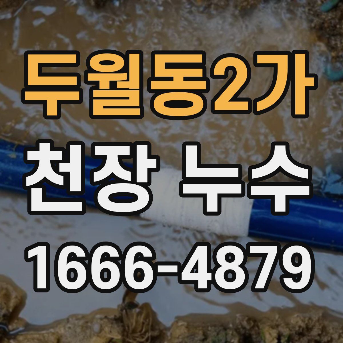 두월동2가 천장 누수