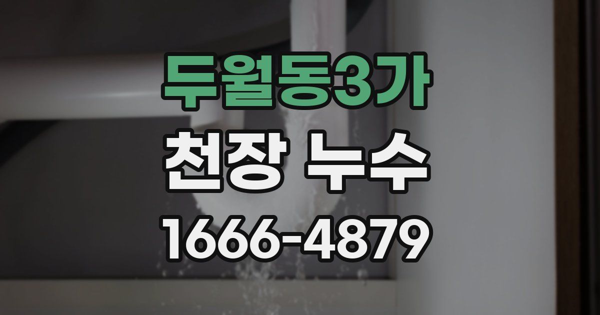 두월동3가 천장 누수