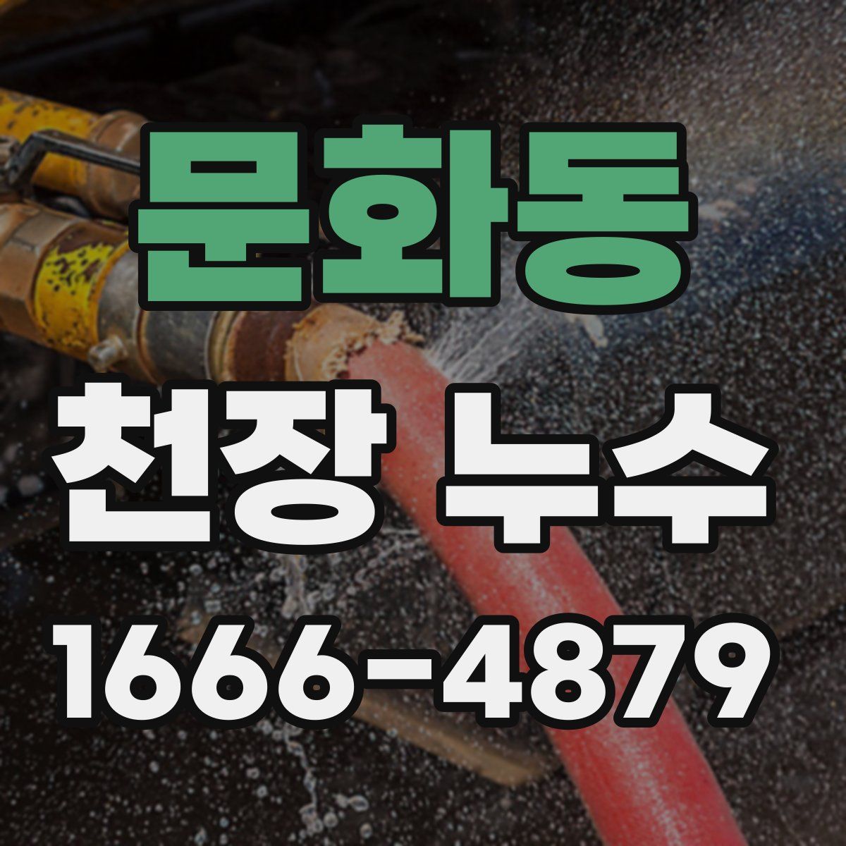 문화동 천장 누수