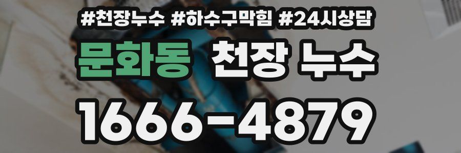 문화동 천장 누수