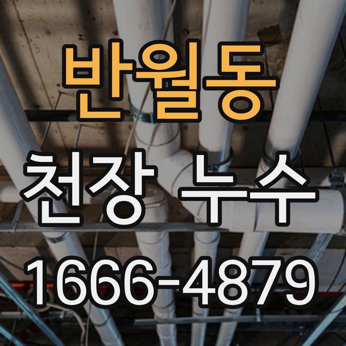 반월동 천장 누수