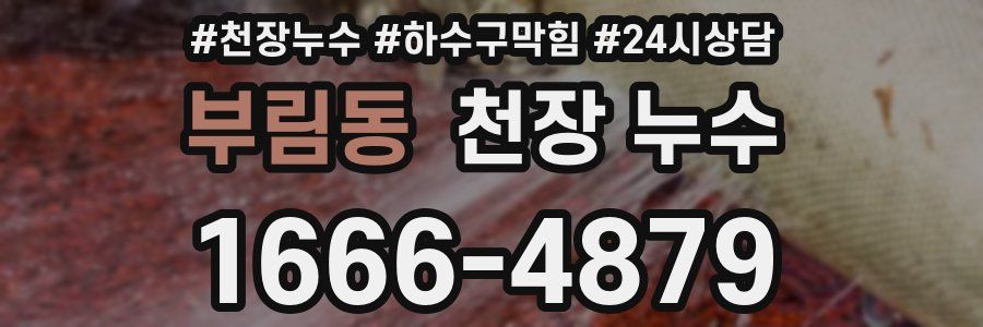 부림동 천장 누수