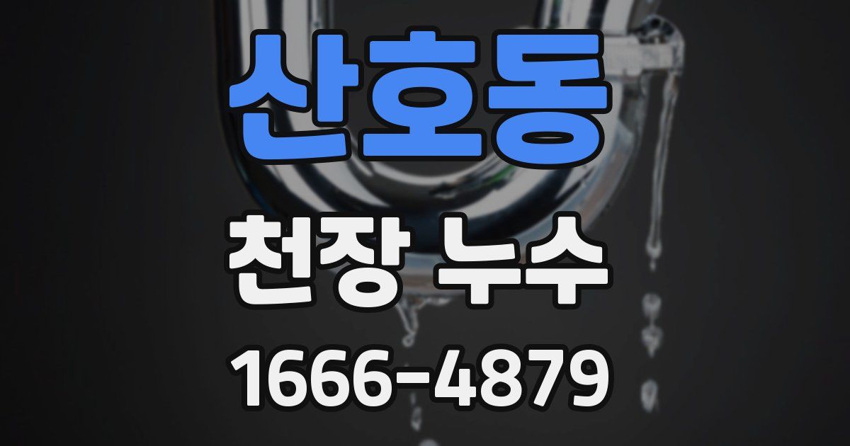 산호동 천장 누수