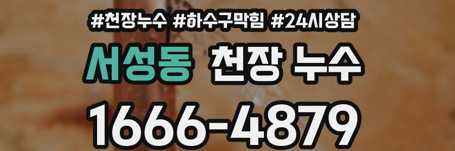 서성동 천장 누수