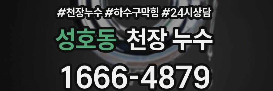 성호동 천장 누수