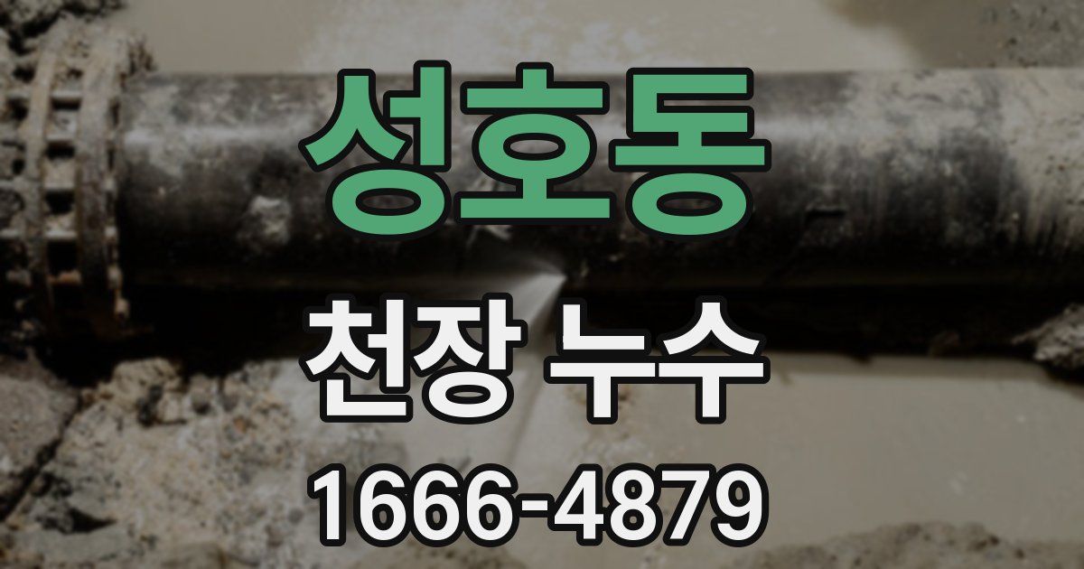 성호동 천장 누수