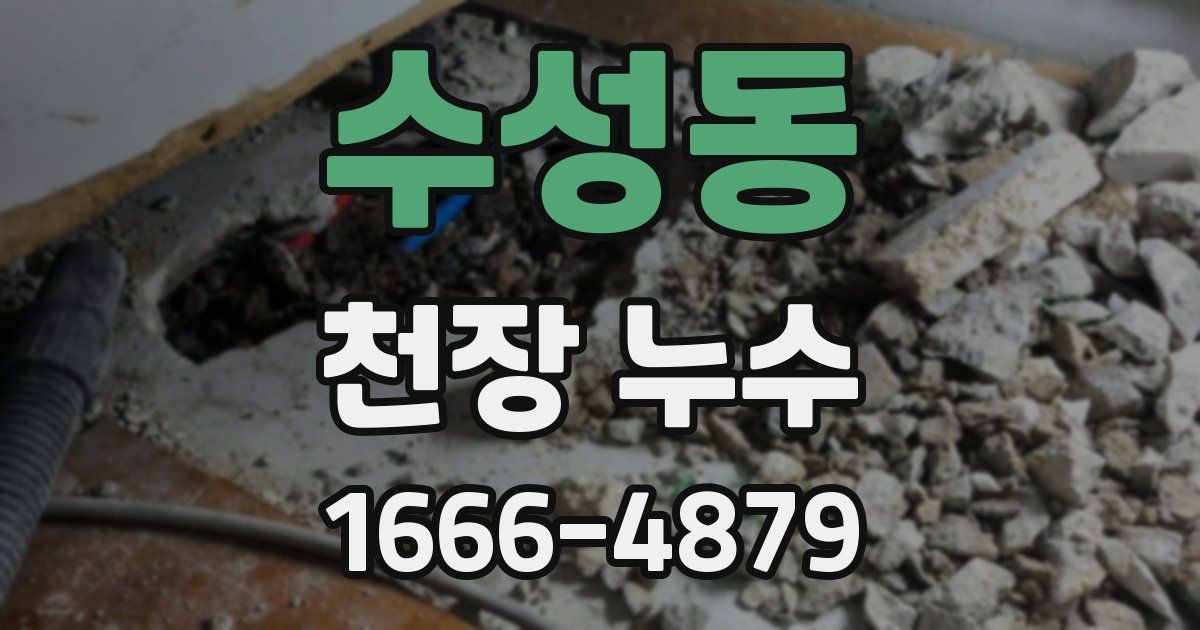수성동 천장 누수