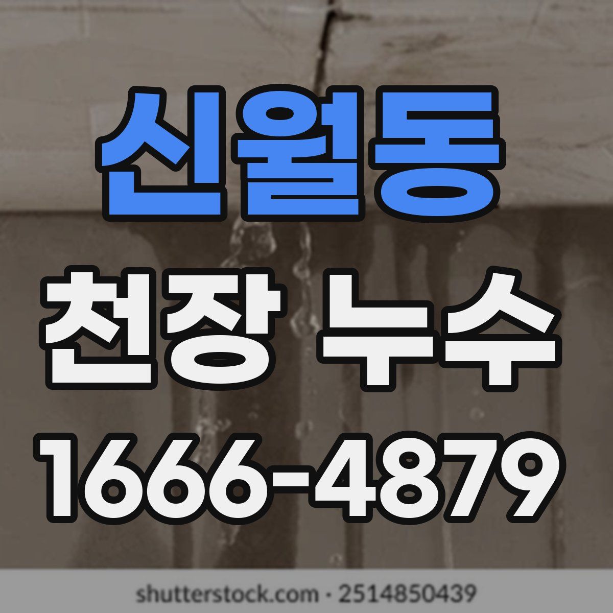신월동 천장 누수