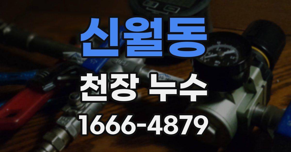 신월동 천장 누수