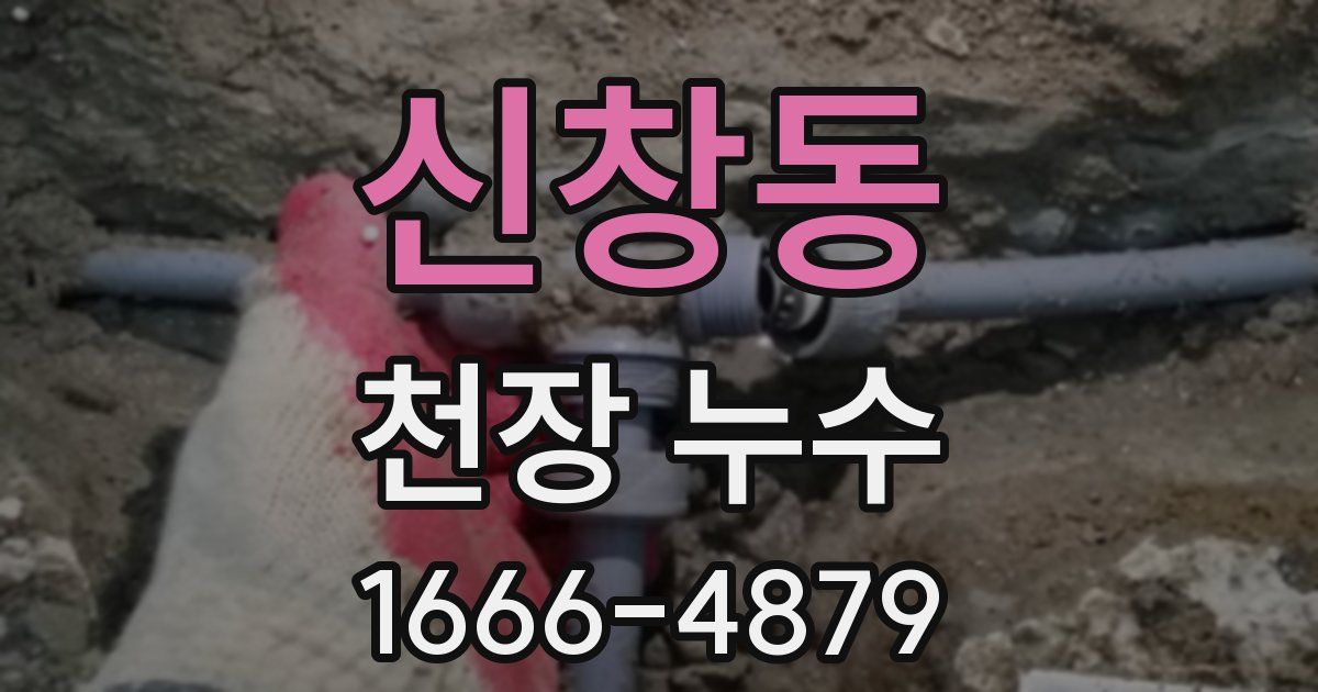 신창동 천장 누수