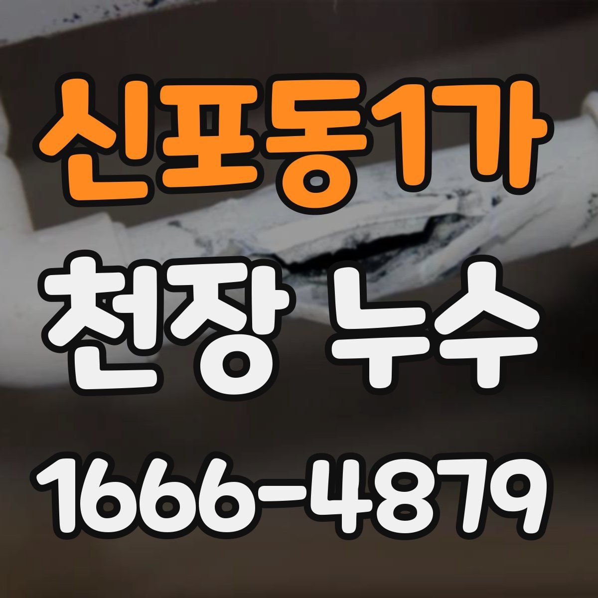 신포동1가 천장 누수