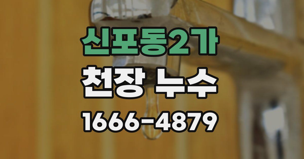 신포동2가 천장 누수