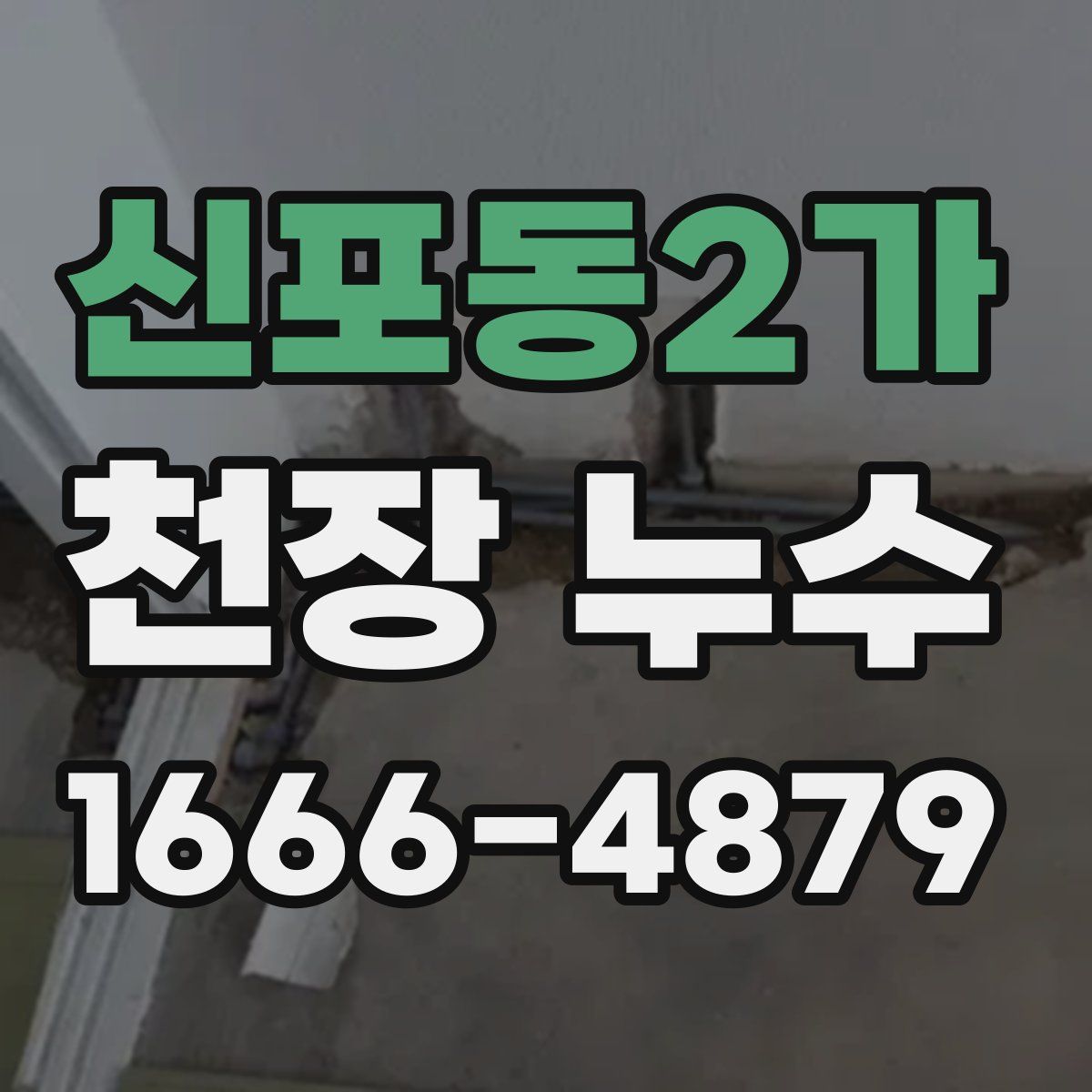 신포동2가 천장 누수