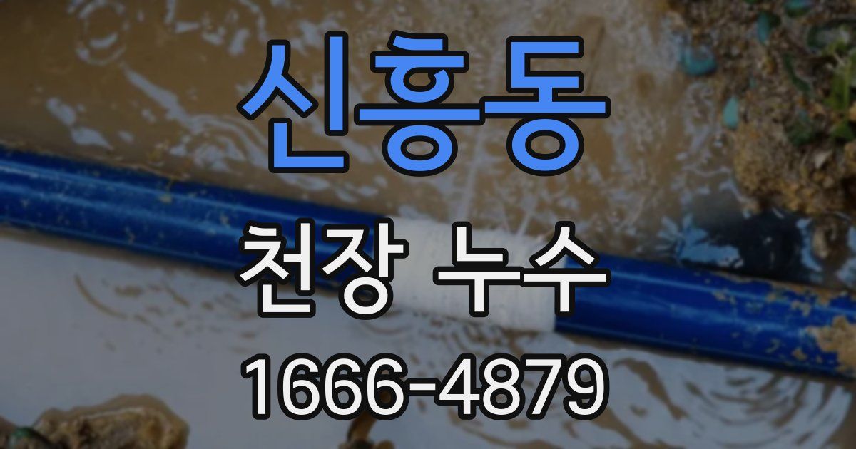 신흥동 천장 누수
