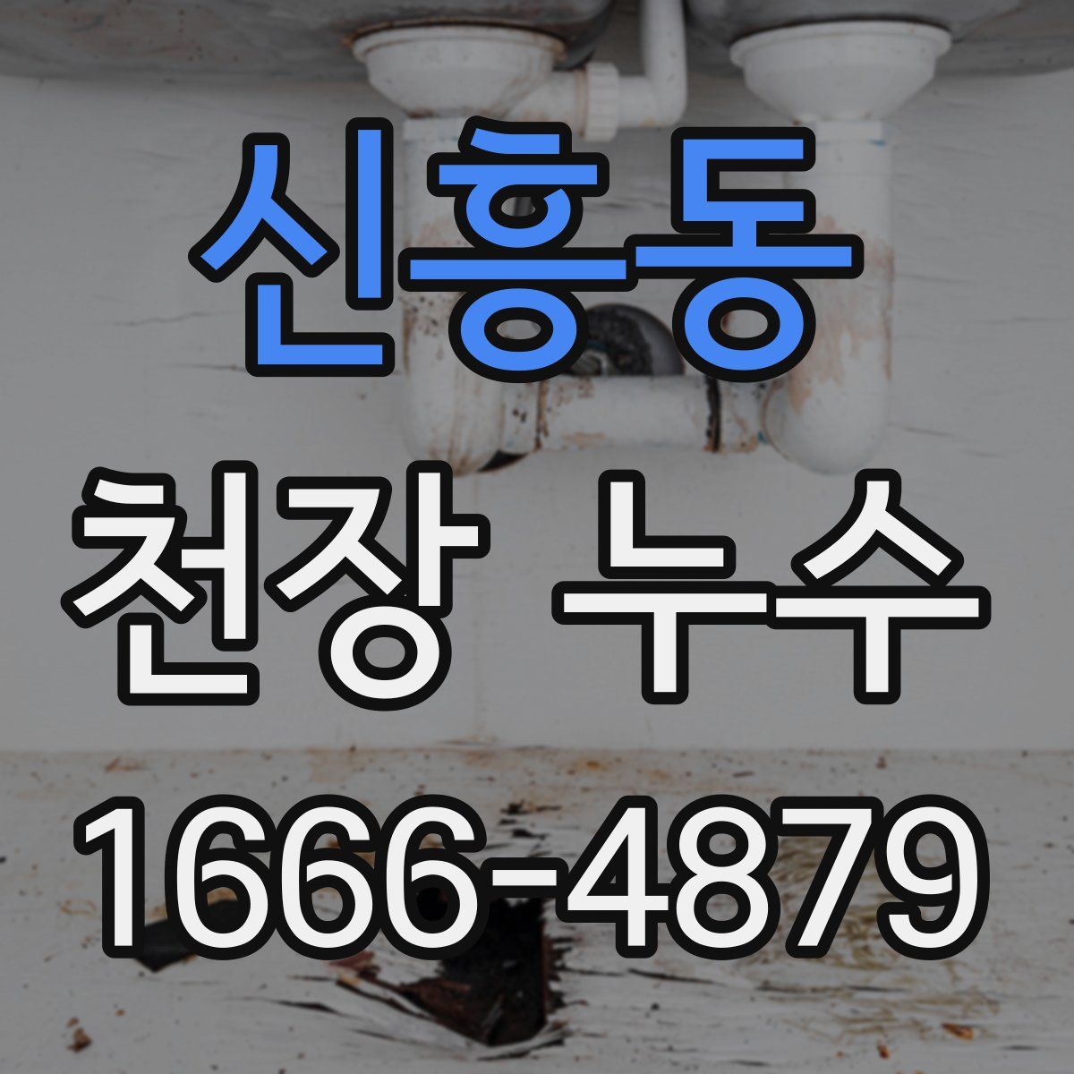 신흥동 천장 누수