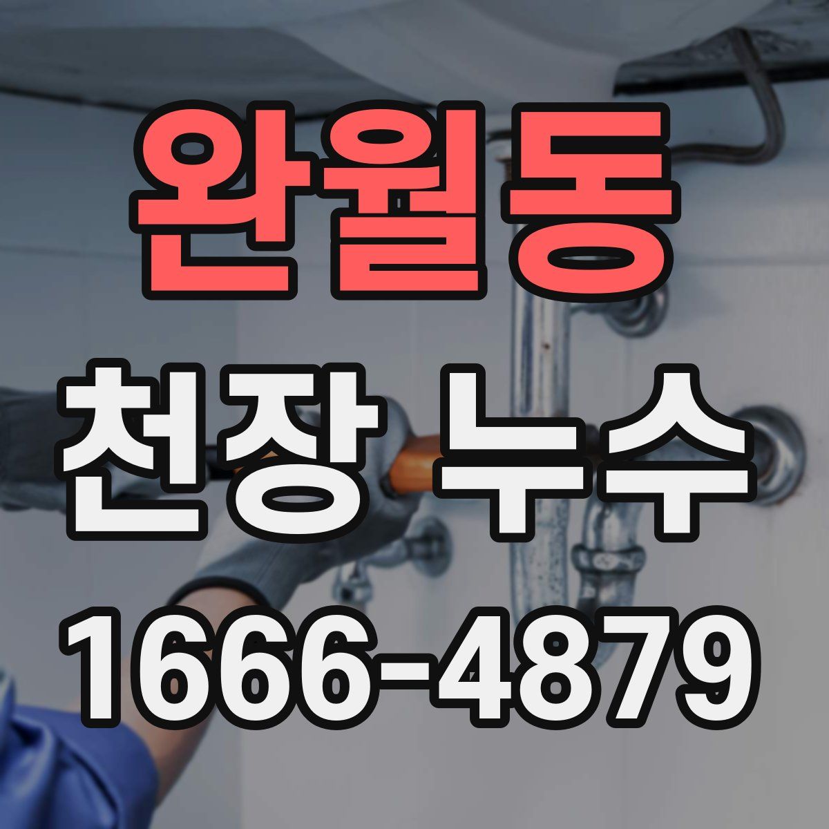 완월동 천장 누수