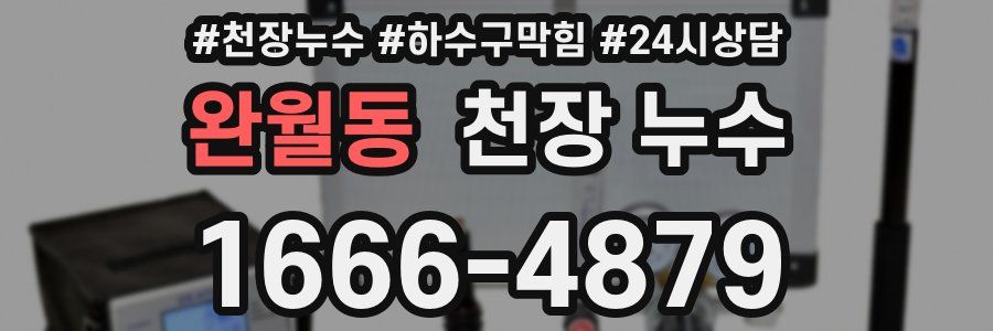 완월동 천장 누수