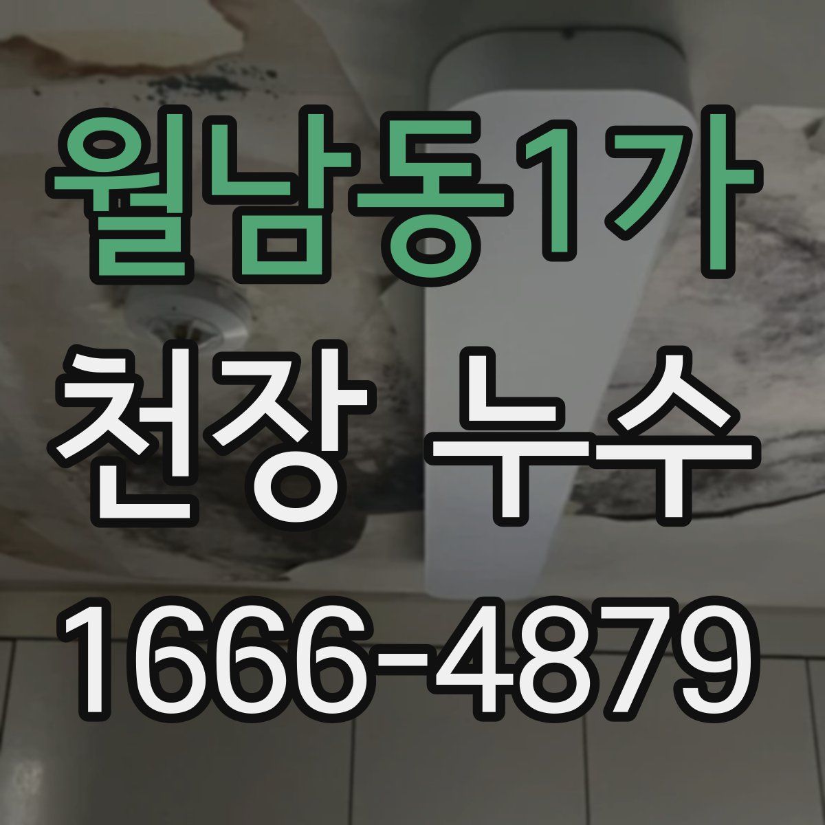 월남동1가 천장 누수