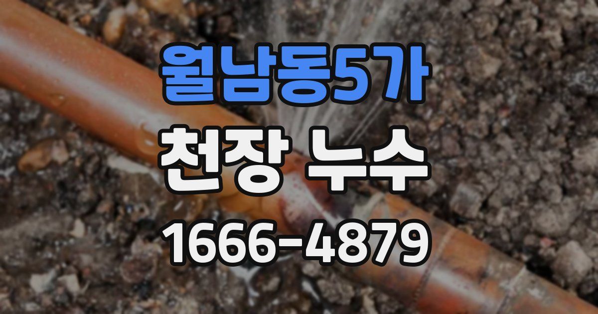 월남동5가 천장 누수