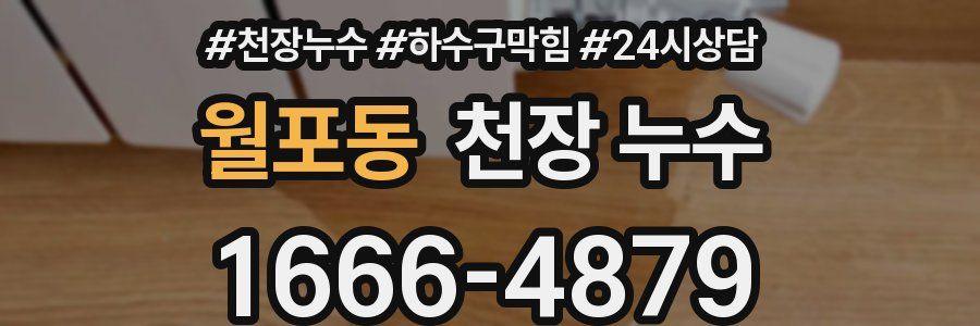 월포동 천장 누수