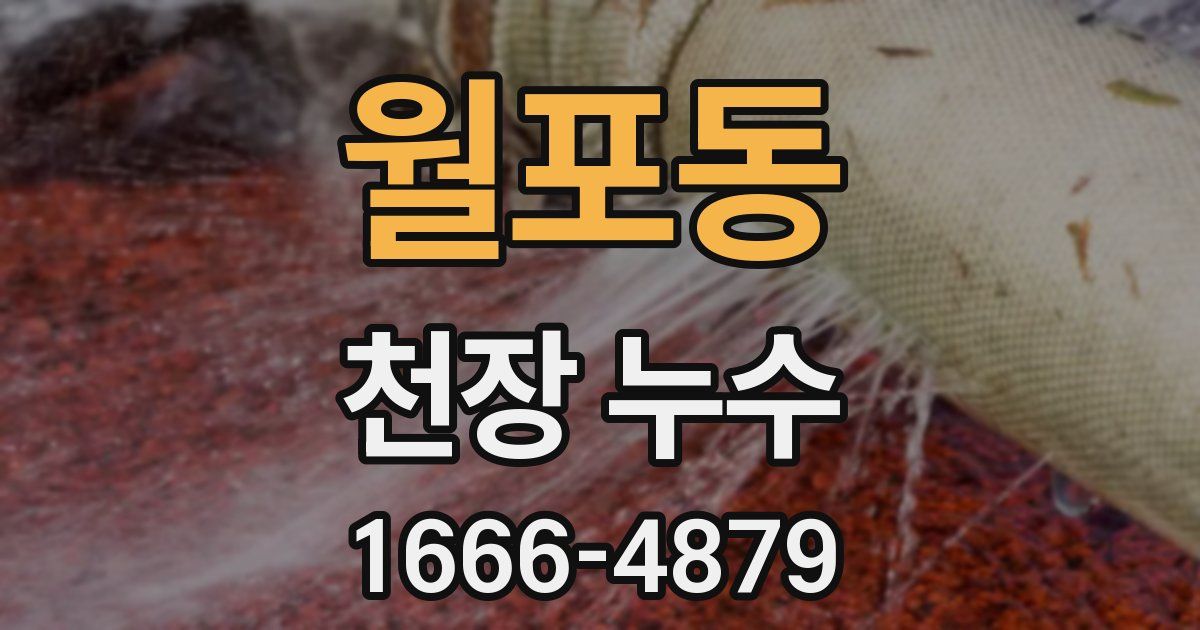 월포동 천장 누수