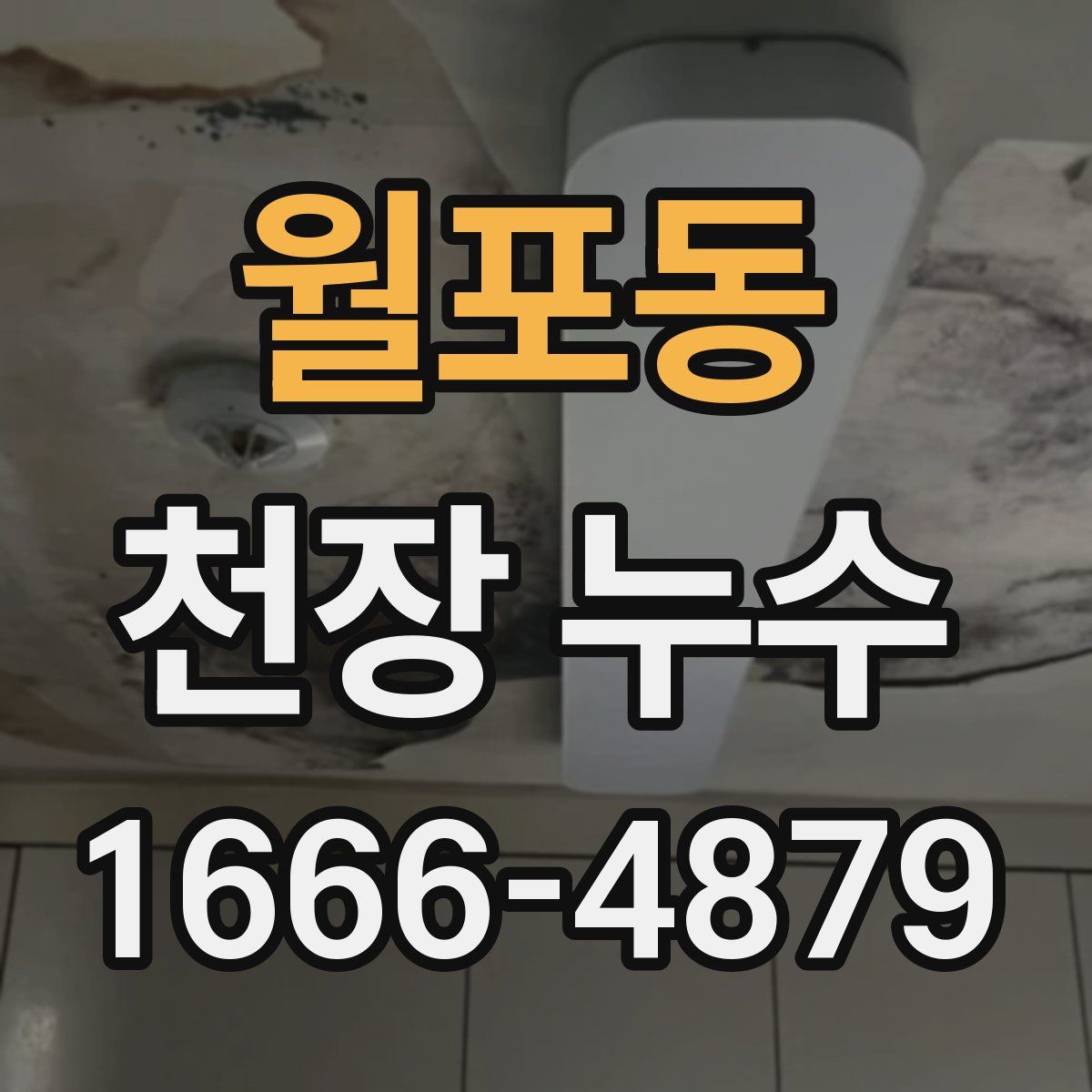 월포동 천장 누수