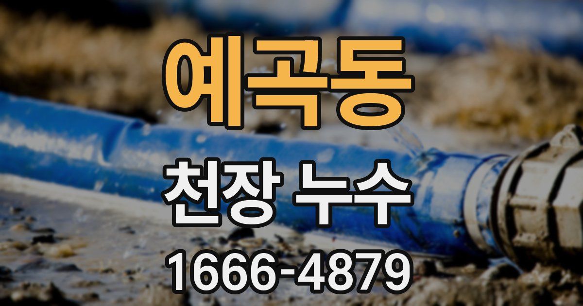 예곡동 천장 누수