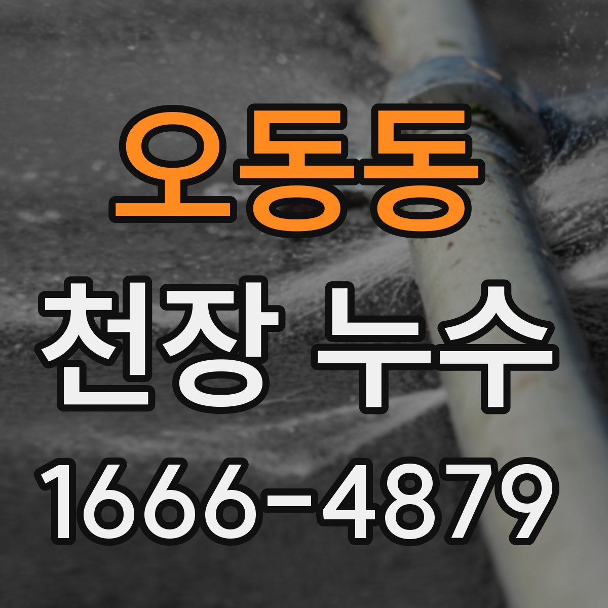 오동동 천장 누수