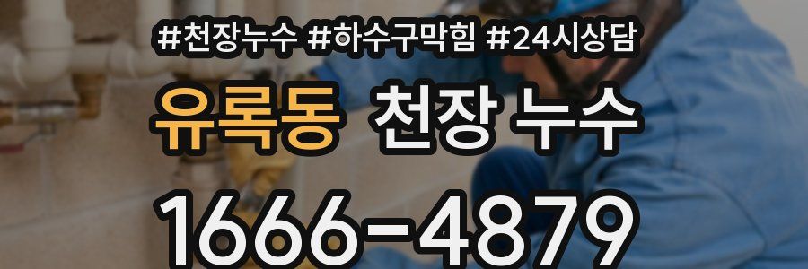 유록동 천장 누수