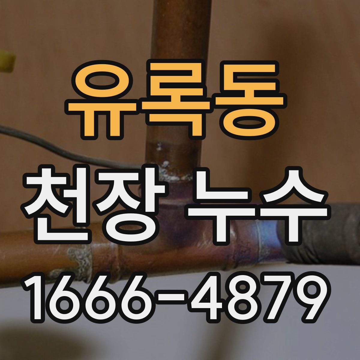 유록동 천장 누수