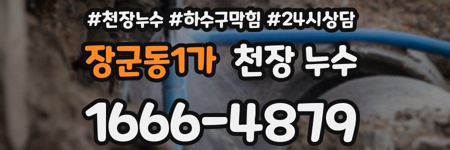 장군동1가 천장 누수