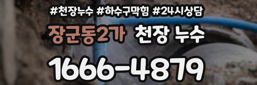 장군동2가 천장 누수