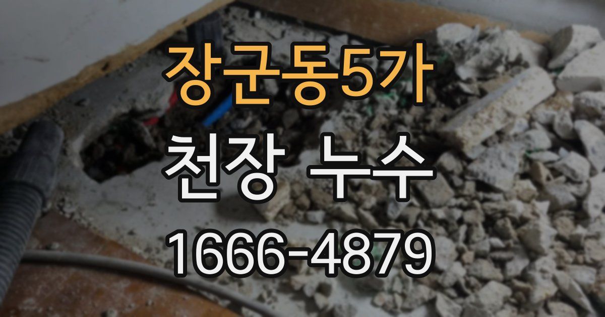 장군동5가 천장 누수