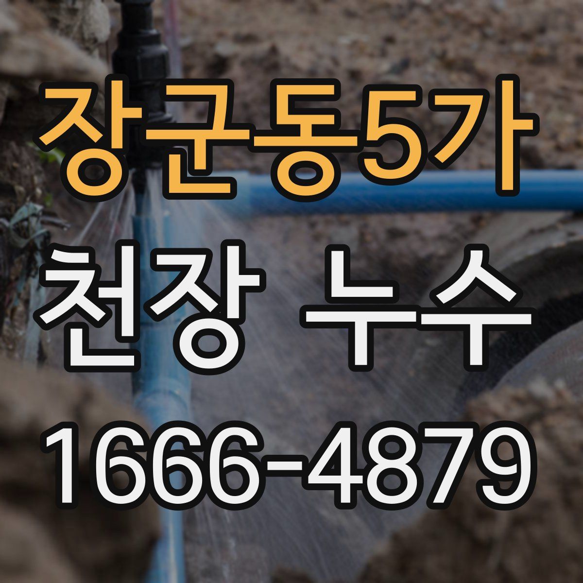 장군동5가 천장 누수