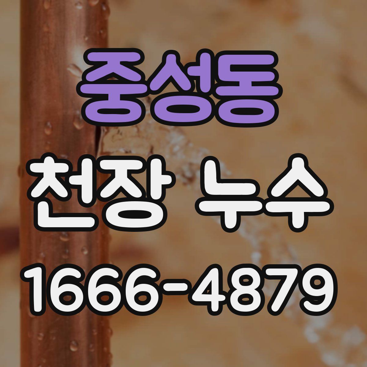 중성동 천장 누수