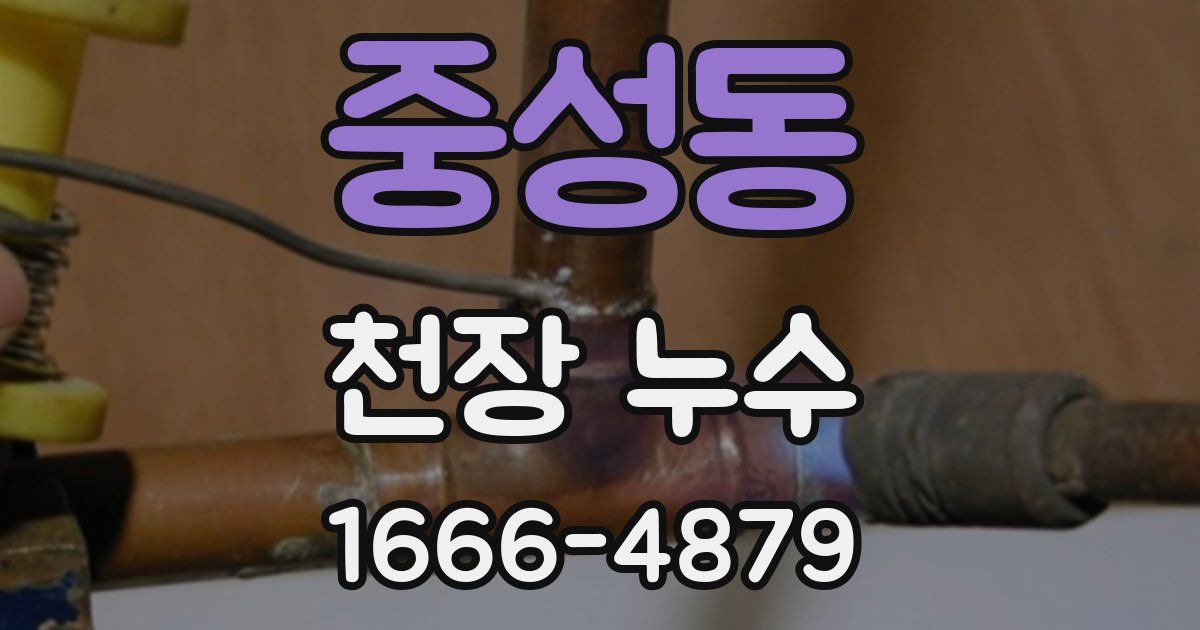 중성동 천장 누수