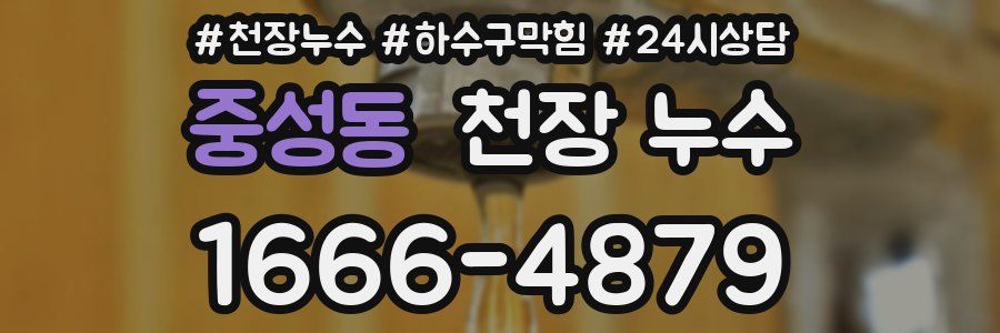 중성동 천장 누수