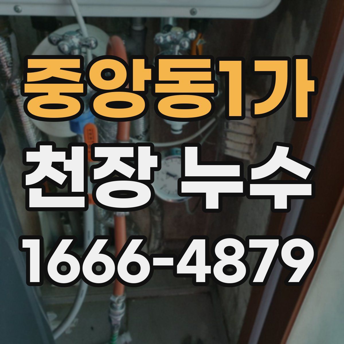 중앙동1가 천장 누수