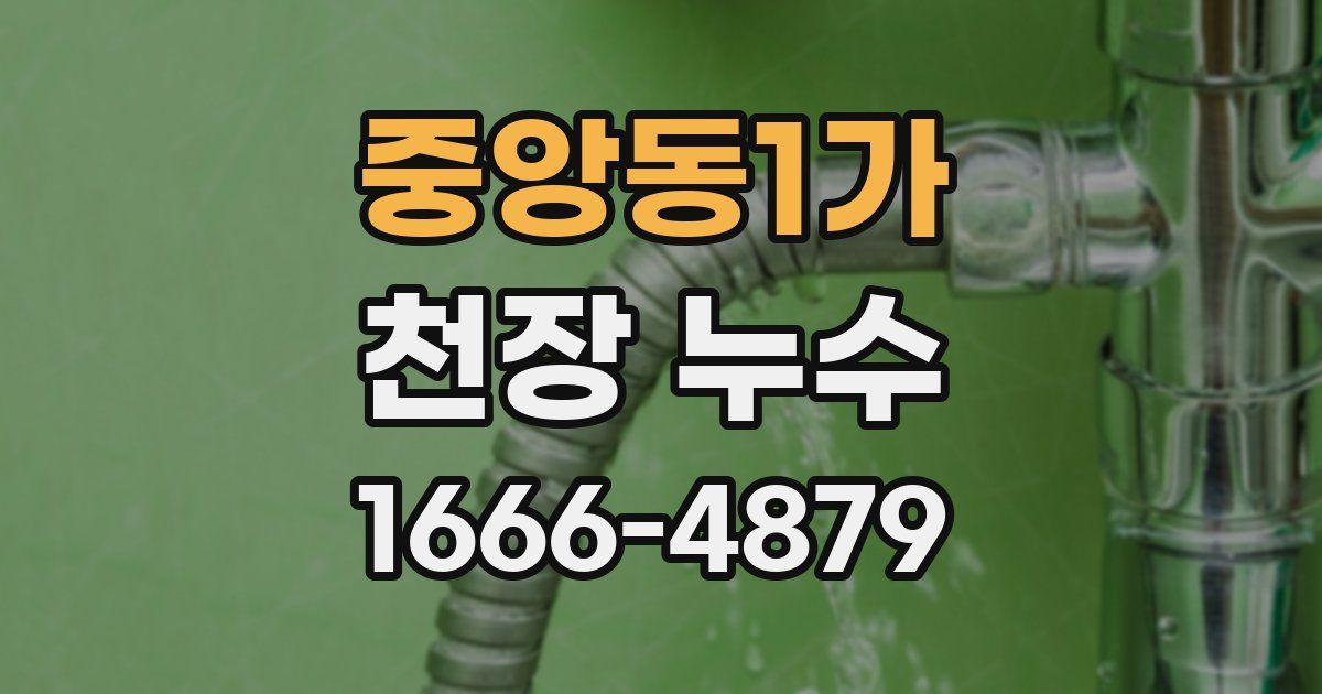 중앙동1가 천장 누수