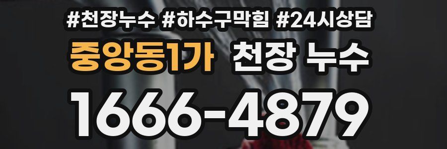 중앙동1가 천장 누수