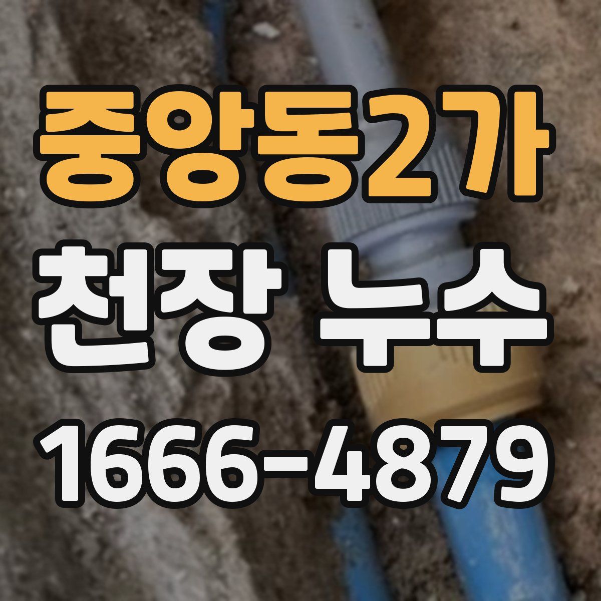 중앙동2가 천장 누수