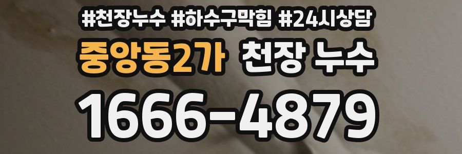 중앙동2가 천장 누수